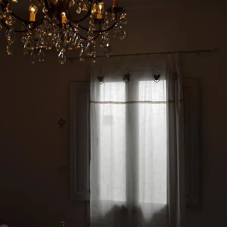 Palmari 桑尼科拉