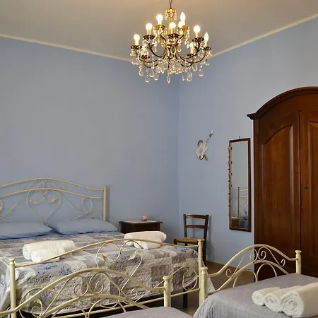 Palmarì *