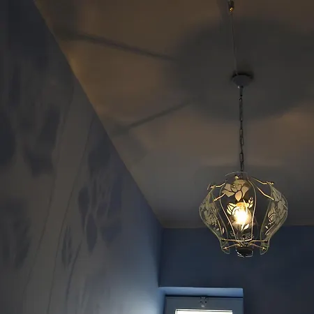 Palmari * 桑尼科拉